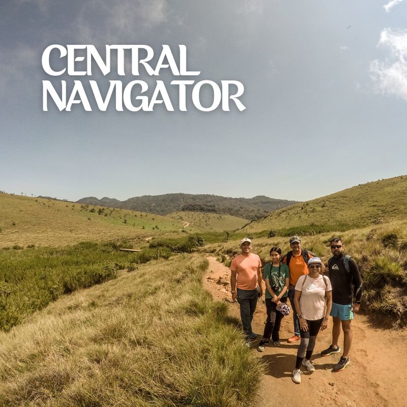 Central navigator Gallery