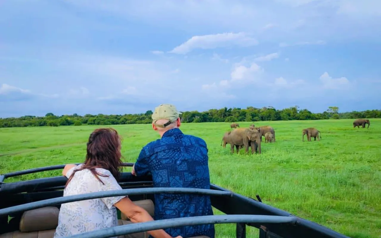 Minneriya Kaudulla jeep Safari