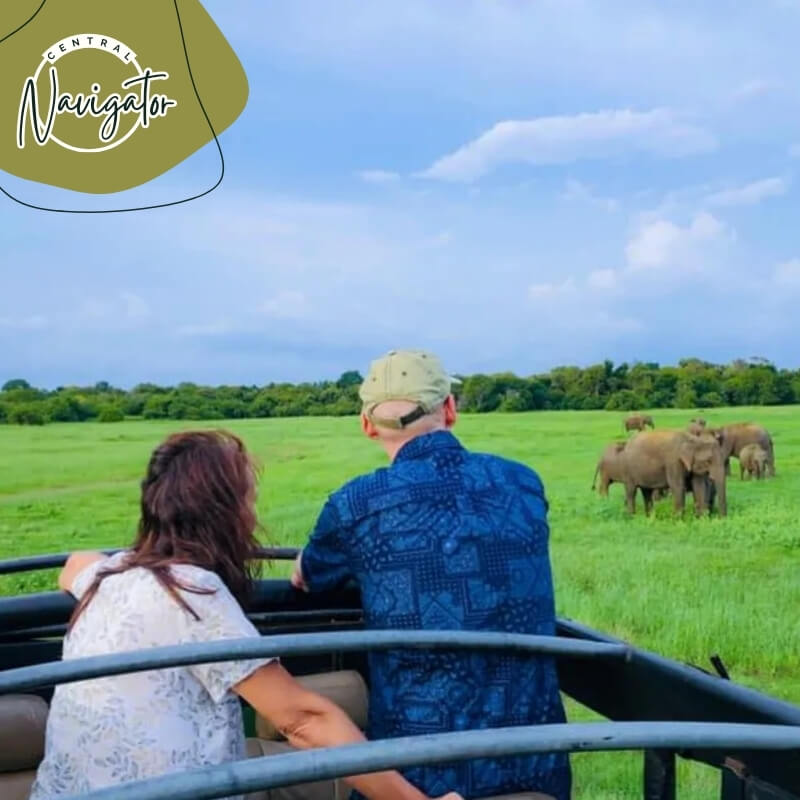 Central Navigator Day Tours