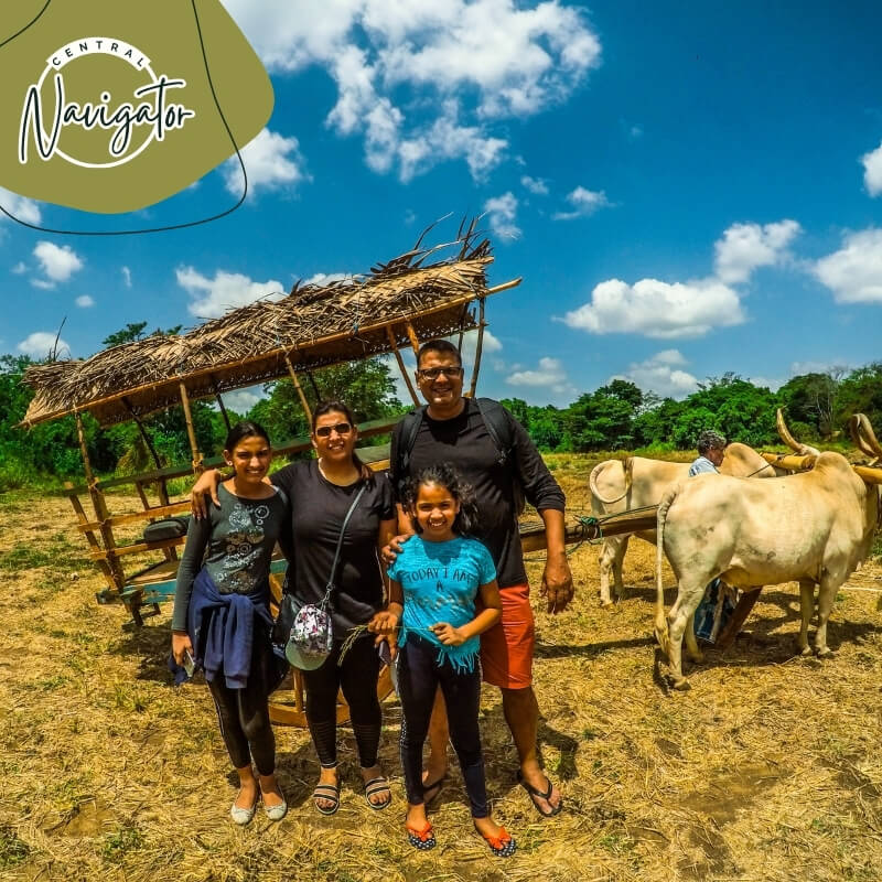 Central Navigator Day Tours