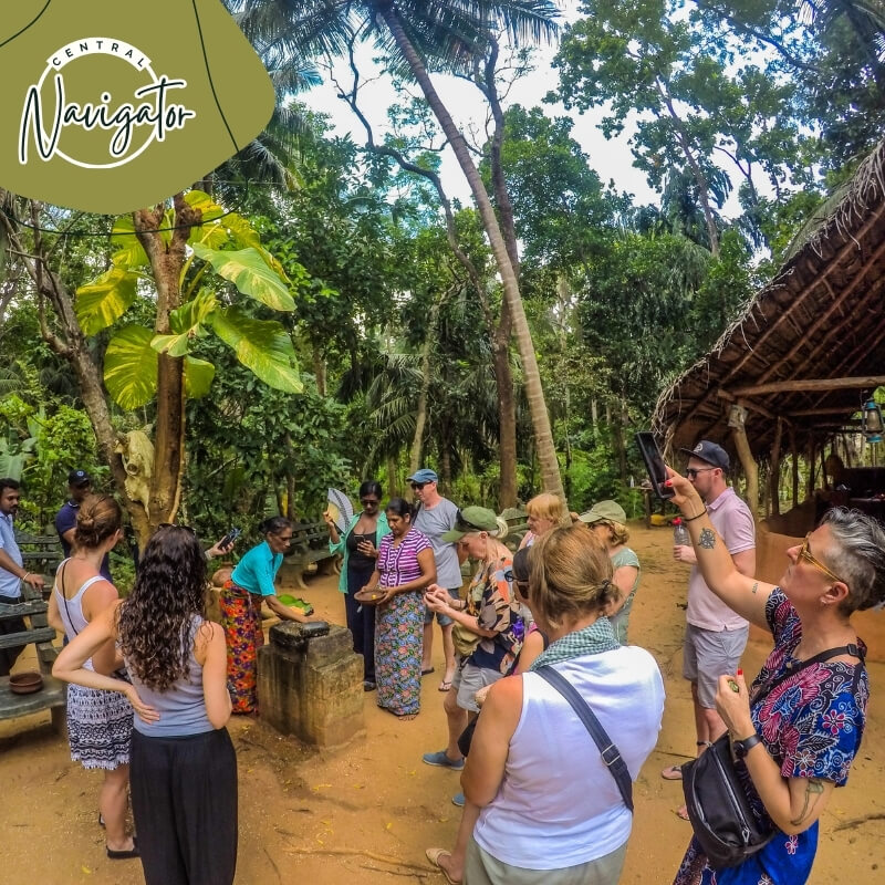 Central Navigator Day Tours