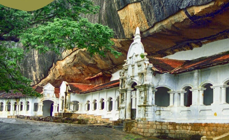 Central Navigator Day Tours