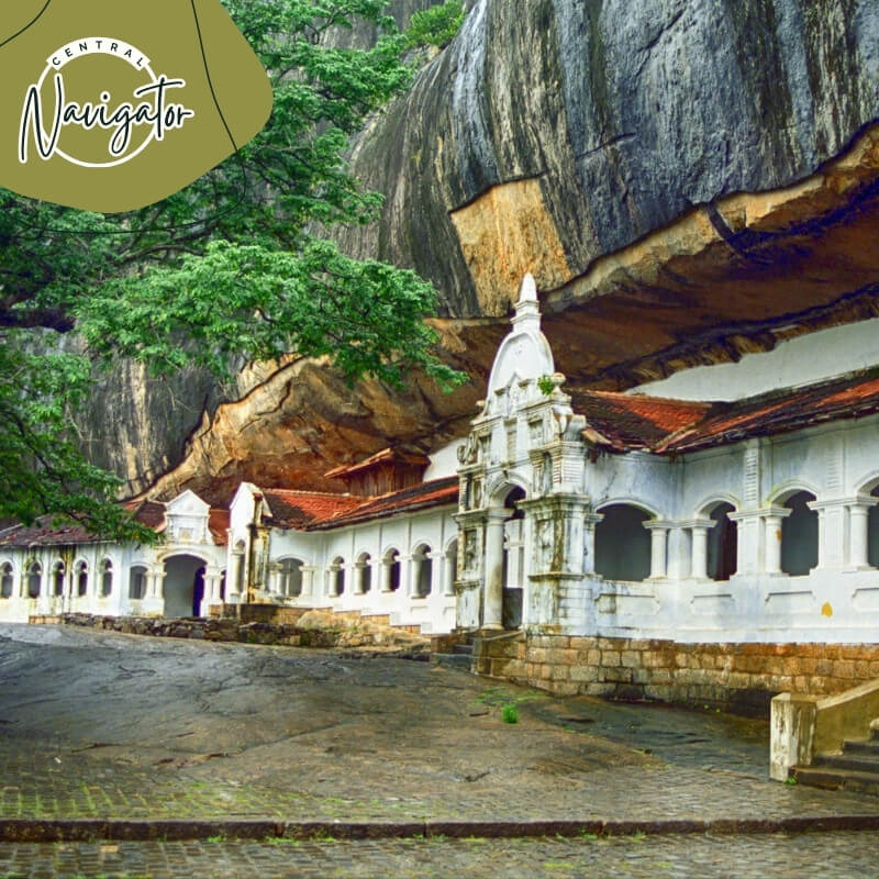 Central Navigator Day Tours