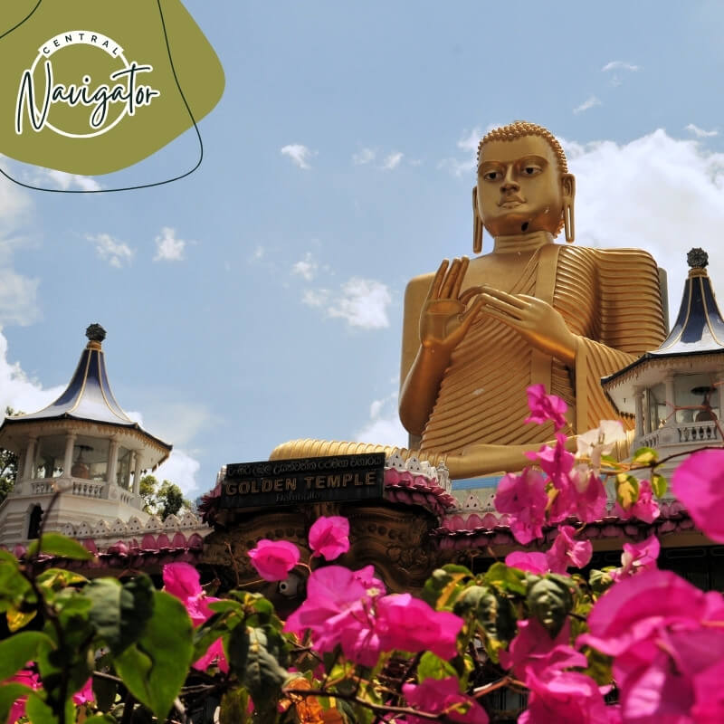 Central Navigator Day Tours