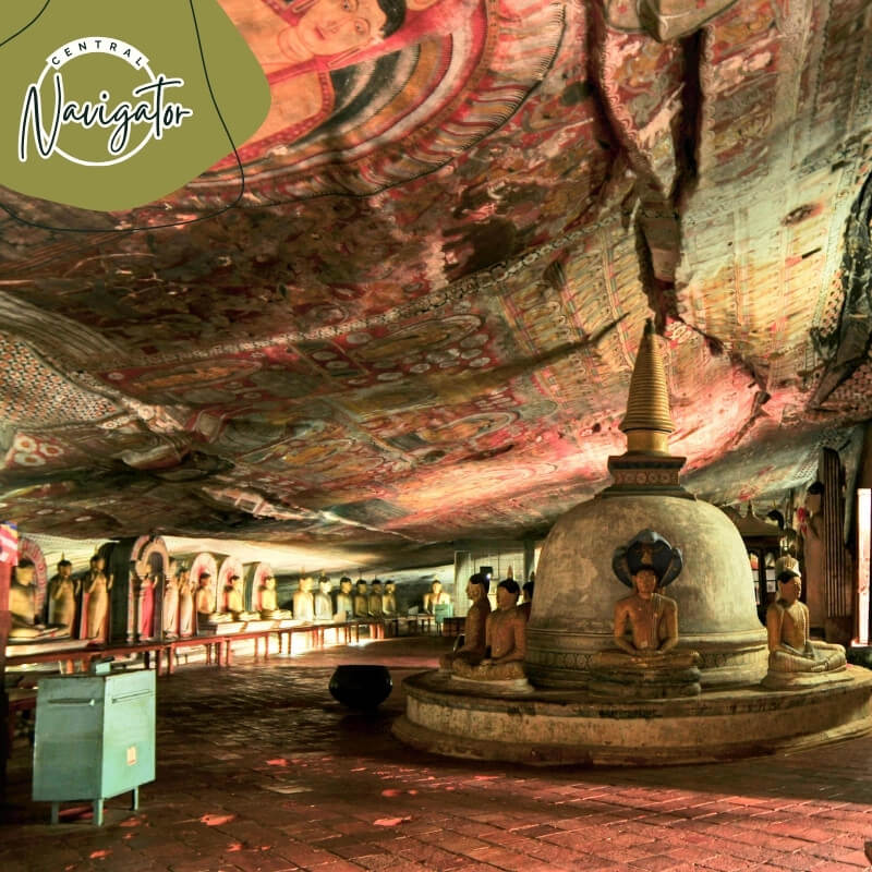 Central Navigator Day Tours