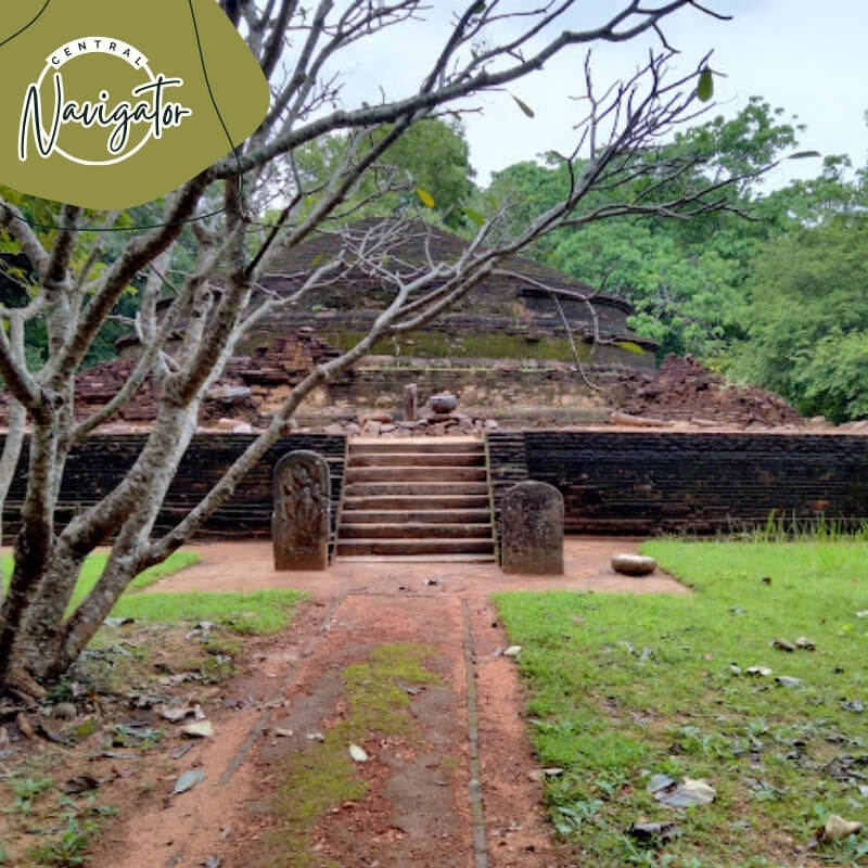 Central Navigator Day Tours