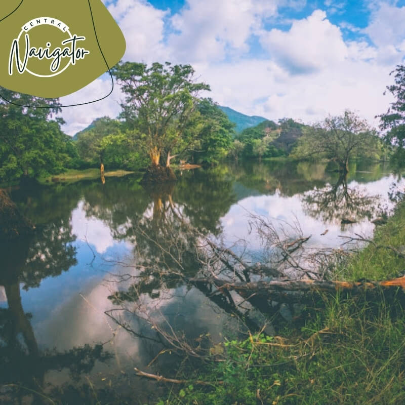 Central Navigator Day Tours