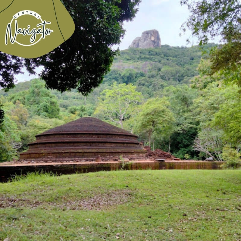 Central Navigator Day Tours