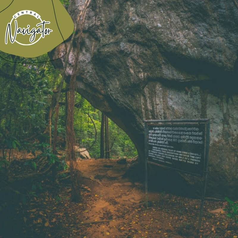 Central Navigator Day Tours